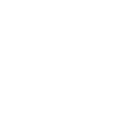 VinVin